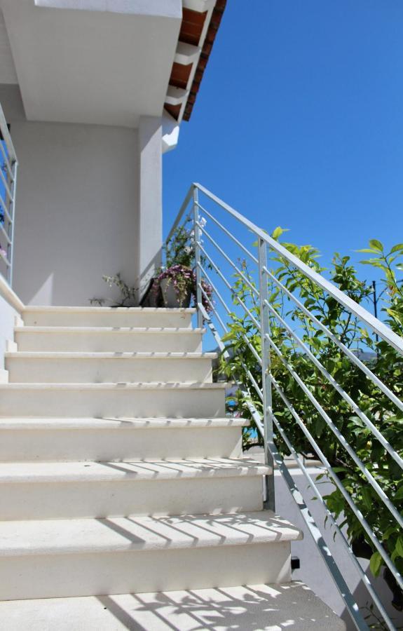 Citroom - Green City Rooms Olbia Zewnętrze zdjęcie